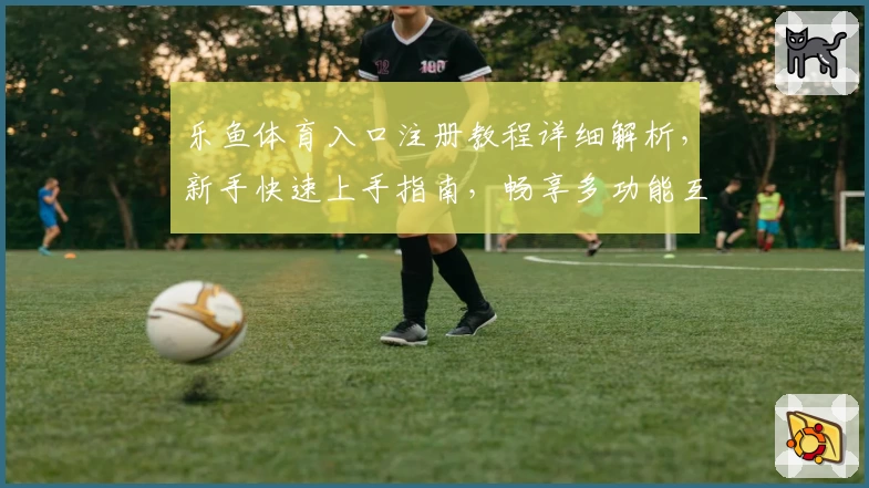 乐鱼体育入口注册教程详细解析，新手快速上手指南，畅享多功能互动体验