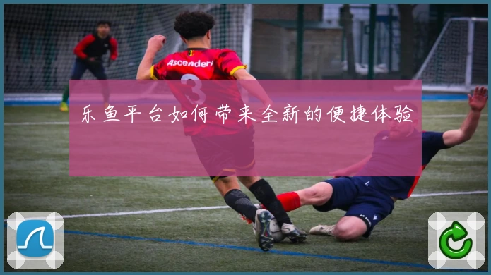 乐鱼平台如何带来全新的便捷体验