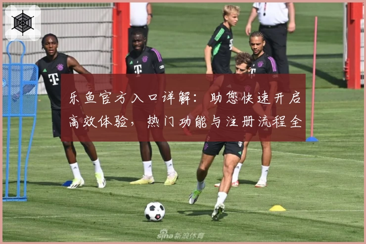 乐鱼官方入口详解：助您快速开启高效体验，热门功能与注册流程全解析！