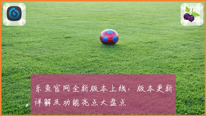 乐鱼官网全新版本上线,版本更新详解及功能亮点大盘点
