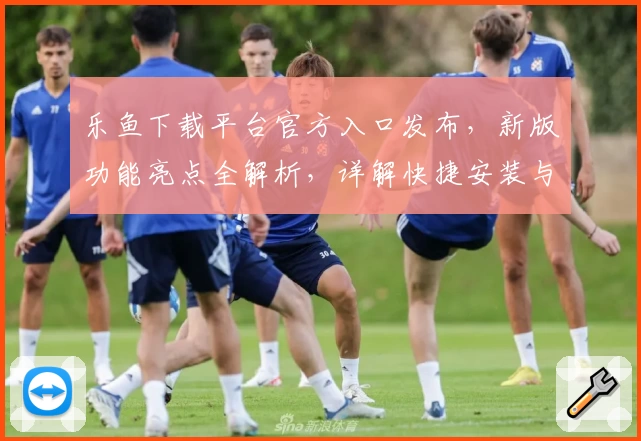 乐鱼下载平台官方入口发布,新版功能亮点全解析,详解快捷安装与使用教程